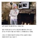 취향의온도