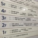 댄스스포츠(입문반) | 내돈내산 청라폴댄스 비폴렛폴댄스 원데이클래스 등록 후기