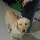 낙동남로 이미지