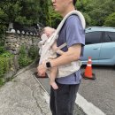 경남 창원 진해 아이랑 가볼만한 곳 경화역 그리고 진해루, 보타닉뮤지엄 다녀온 후기