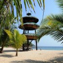 거북발전소 이미지