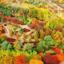 원적산체육공원 이미지