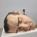 론 뮤익 전시회를 다녀와서- 긴 후기