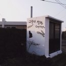 고양이정원 이미지