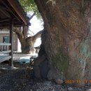 동강리 마을회관 이미지