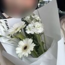 파모어 이미지