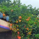 부영작은도서관 이미지