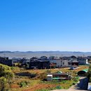 [경기 안산] 경기 둘레길 안산 50코스/ 서해랑길 90코스/ 고랫부리 갯벌/ 대부도 해솔길/ 대부도 비치...