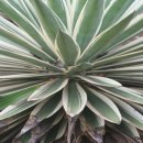 원소농장 이미지