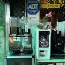 쩡수산 이미지