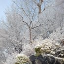 삼월 이미지