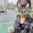 24년 8월