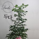 무성 건축사 사무소 네이버블로그