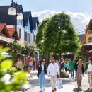 마스코스 이미지