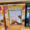 자연채 식품 이미지