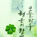 그루터기 이미지