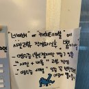 뻘 | 신사역 술집 해산물 안주 맛집 뻘 후기