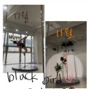 라인댄스 중급1반 | 취미로 시작한 동래폴댄스, 결국 전문2급까지 수료한 후기 (비포&amp;애프터)