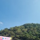 타이거마켓
