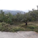 노은면사무소 이미지