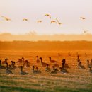 산하 한우농장 이미지