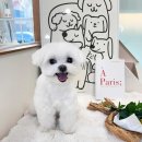 멍 부띠끄 이미지