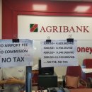 카페라시에스타 이미지