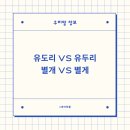 유도리 이미지