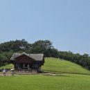용의 눈물,조선왕릉 구리 동구릉숲속(6월28일산책) 이미지