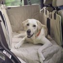 평생 마당에 묶여 산 시골개, 집 강아지 되다🐕 : 귀농이 cute farmer [에디터의 애착 털뭉치 #5]