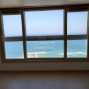 양우내안애부동산공인중개사사무소 이미지