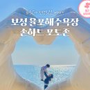 2/14~17 완도의 숨은보석 "금당도",강진,고흥,보성,장흥삼합 맛탐여행 이미지