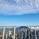 새한 행정사사무소 이미지