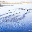 한마음(125) 이미지