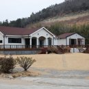 고요한바다펜션 이미지