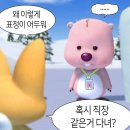 감나무식당 | [양양맛집] 카카오맵 맛집 1위, 감나무식당 후기