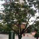 박근석 김진휘 내과의원 이미지