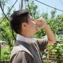 강화교동진화농장 | 농촌 일 필수템! 얼리츠 4세대 쿨링 넥밴드추천 국내산 넥쿨러밴드대만족 후기