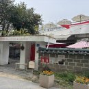 염치읍 은행나무길 | 아산 염치읍 은행나무길 인근 분위기 좋은 주택 개조카페 언더힐 내돈내산 후기