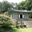 완도 신흥사 목조약사여래좌상 이미지