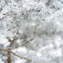 연세공감마취통증의학과의원 이미지