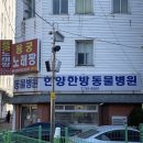 월드펫동물병원 이미지