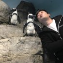 태수아쿠아 네이버블로그
