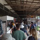 코끼리시장 이미지