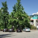 주공슈퍼마켓 이미지