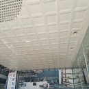 대전 서구점 키즈 스콜레에서 정글 비트, 잉글리시 스토리 하우스 수업 후기 (가격 정보⭕️)