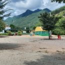 돌고래오토캠핑장 이미지