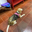 2월 문화가 있는 날 [맛있는 클래식] | TSKAF REPORT - #4 La vida en Encarnación