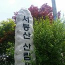 서봉산산림욕장 이미지