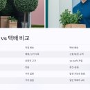 📦 조경수 포장과 배송 실전편